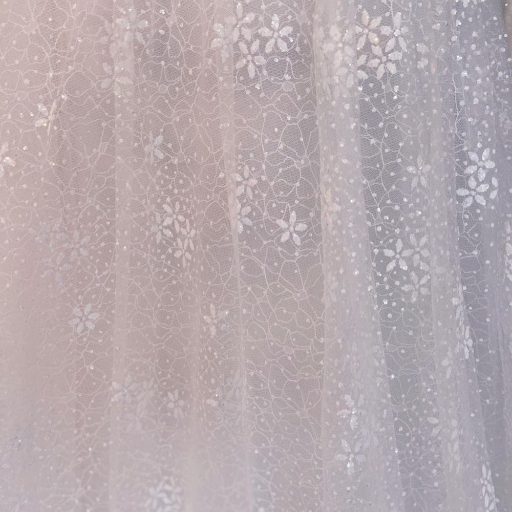 Anne Barge wedding dress - Picture 4 of 14
